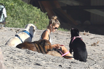 Denise Richards Poster 2752814