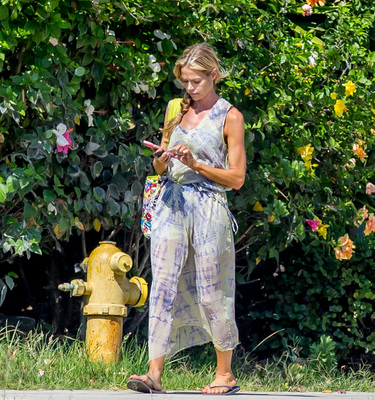 Denise Richards Poster 2752824