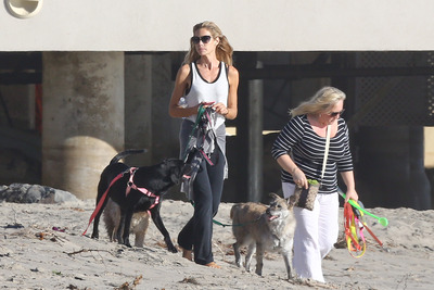 Denise Richards Poster 2752900