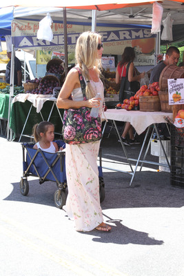 Denise Richards Poster 2752912