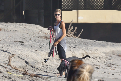 Denise Richards Poster 2752916