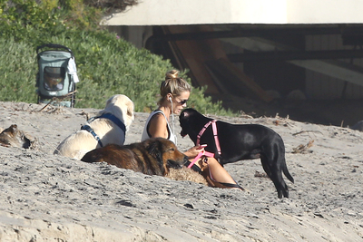 Denise Richards Poster 2753012