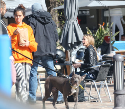 Denise Richards Poster 3226234