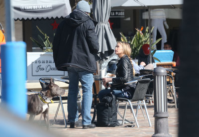 Denise Richards Poster 3226264