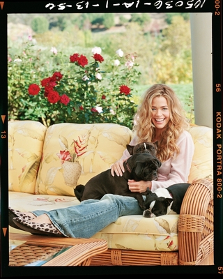 Denise Richards Poster 3820502