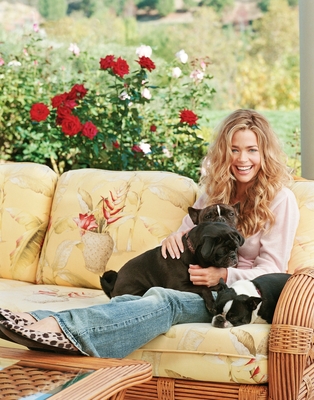 Denise Richards Poster 3820506