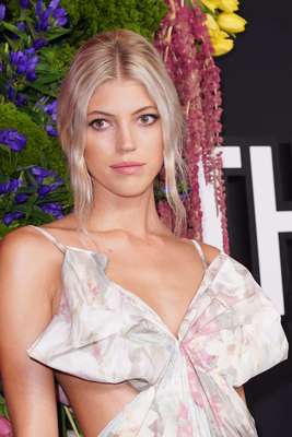 Devon Windsor Poster 3897233