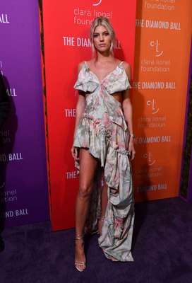 Devon Windsor Poster 3897248