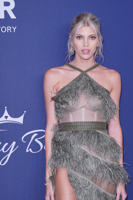 Devon Windsor Poster 3943650