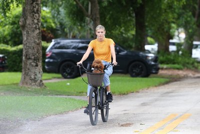 Devon Windsor Poster 3956438