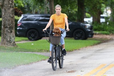 Devon Windsor Poster 3956443