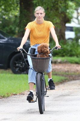 Devon Windsor Poster 3956445