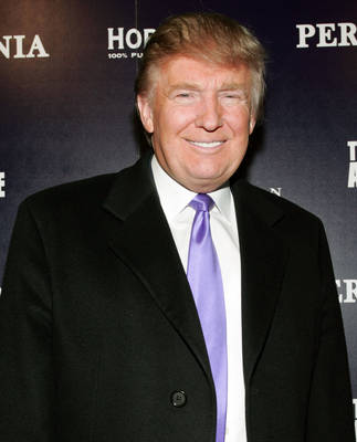 Donald Trump Poster 1989444
