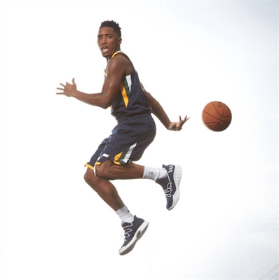 Donovan Mitchell Poster 3427154