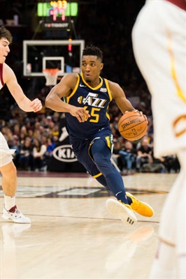 Donovan Mitchell Poster 3427210