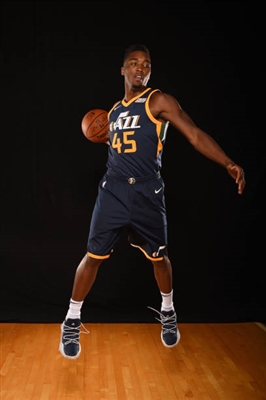 Donovan Mitchell Poster 3427287