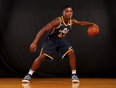 Donovan Mitchell Poster 3427421