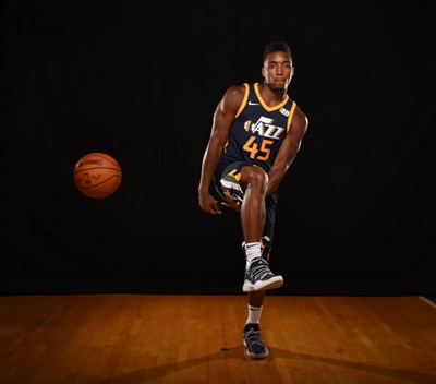 Donovan Mitchell Poster 3427422