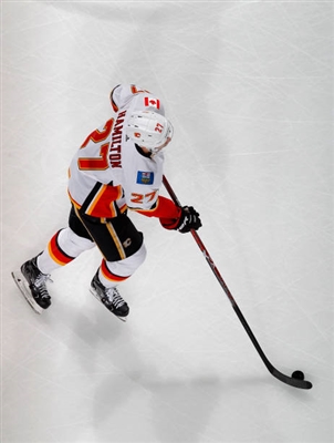 Dougie Hamilton Poster 3545967