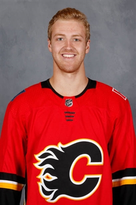 Dougie Hamilton Poster 3546008