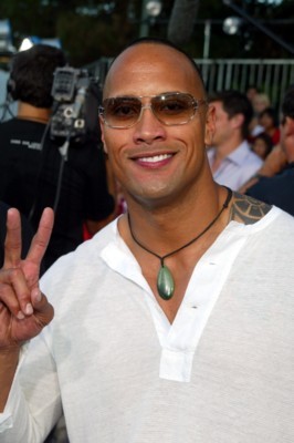 Dwayne Johnson Poster 1376753