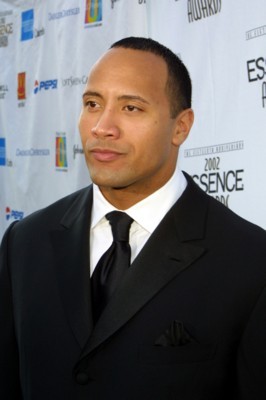 Dwayne Johnson Poster 1376760