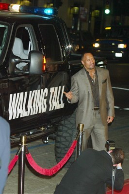Dwayne Johnson Poster 1376763