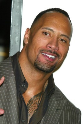 Dwayne Johnson Poster 1376767