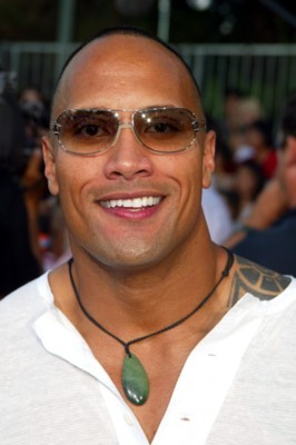 Dwayne Johnson Poster 1376771