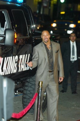 Dwayne Johnson Poster 1376774