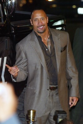 Dwayne Johnson Poster 1376780