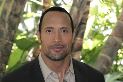 Dwayne Johnson Poster 2283593