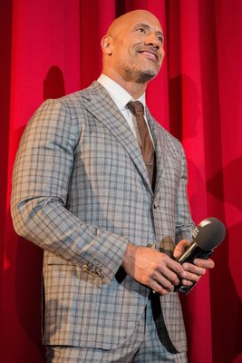 Dwayne Johnson Poster 2978268