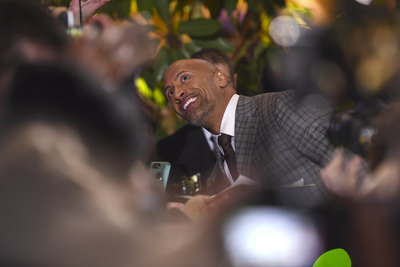 Dwayne Johnson Poster 2978278