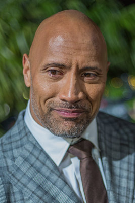 Dwayne Johnson Poster 2978327