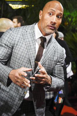 Dwayne Johnson Poster 2978390