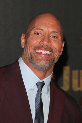 Dwayne Johnson Poster 2978411