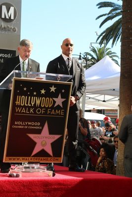 Dwayne Johnson Poster 2978521