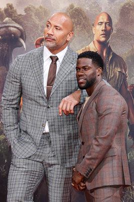 Dwayne Johnson Poster 2978552