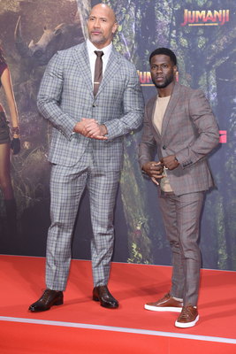 Dwayne Johnson Poster 2978577