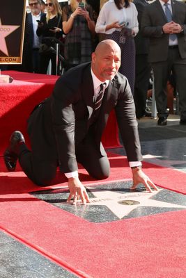 Dwayne Johnson Poster 2978669