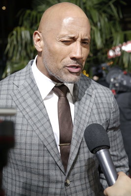 Dwayne Johnson Poster 2978677