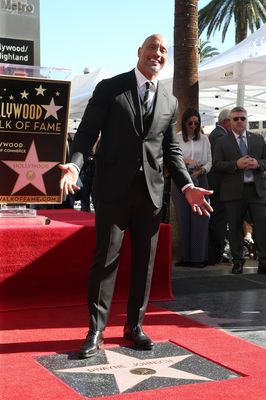 Dwayne Johnson Poster 2978788