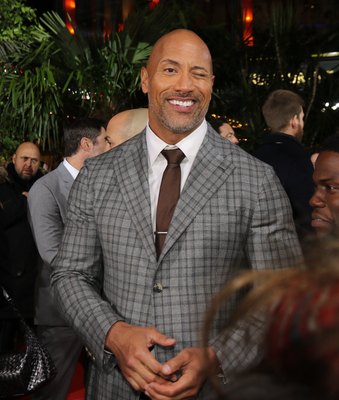Dwayne Johnson Poster 2978847