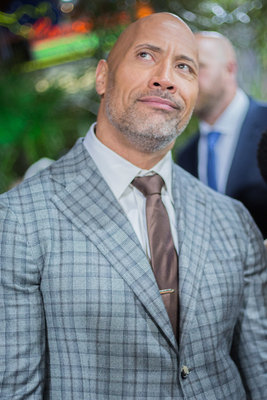 Dwayne Johnson Poster 2978861