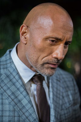 Dwayne Johnson Poster 2978876