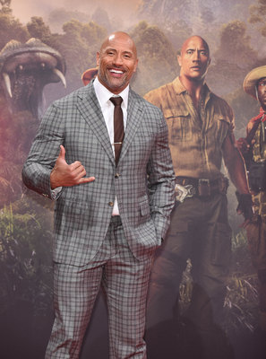 Dwayne Johnson Poster 2978879