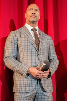 Dwayne Johnson Poster 2978941