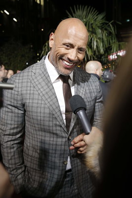 Dwayne Johnson Poster 2978986
