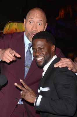 Dwayne Johnson Poster 2978989